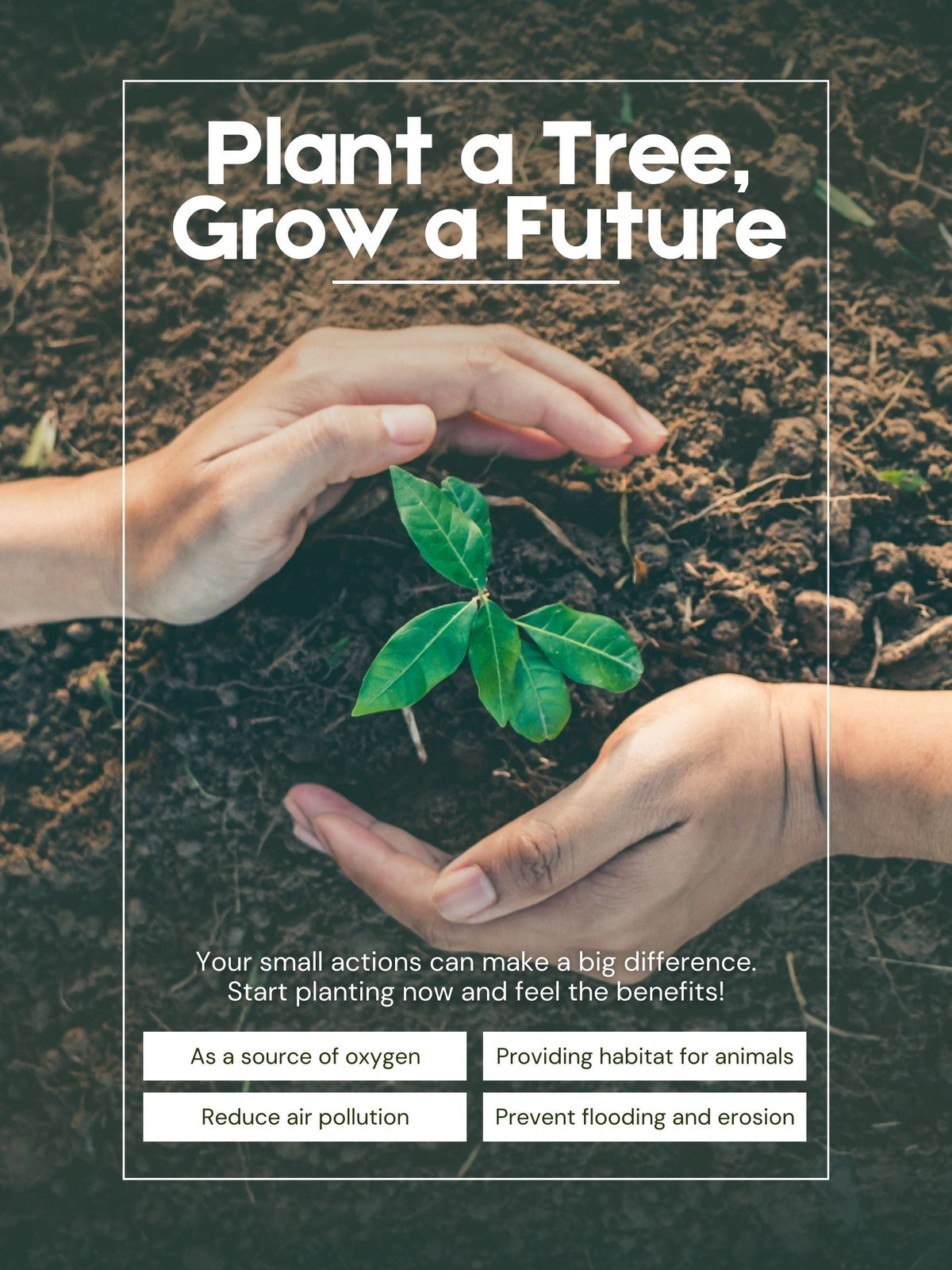 Plant a Tree