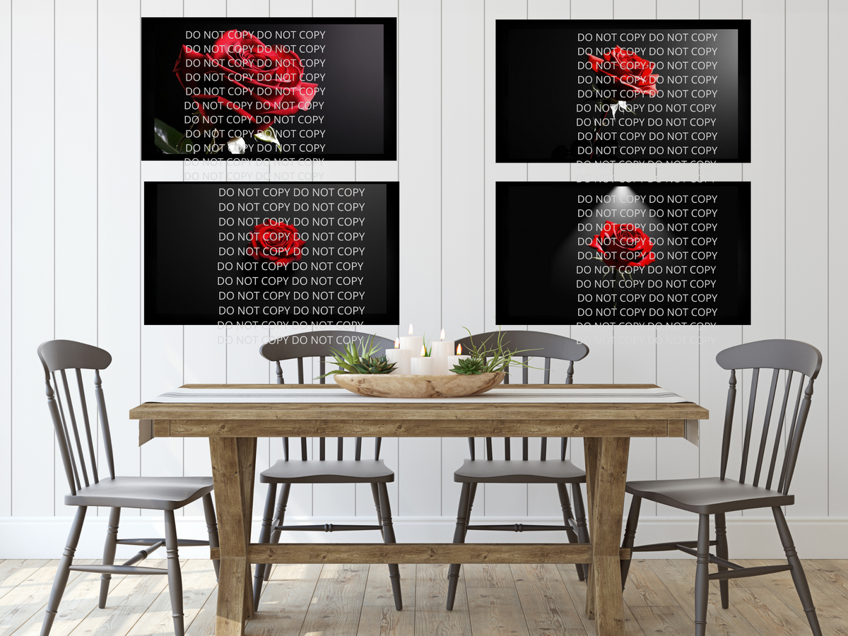 Red Rose with Black Background Digital Art in PDF SVG PNG File Formats