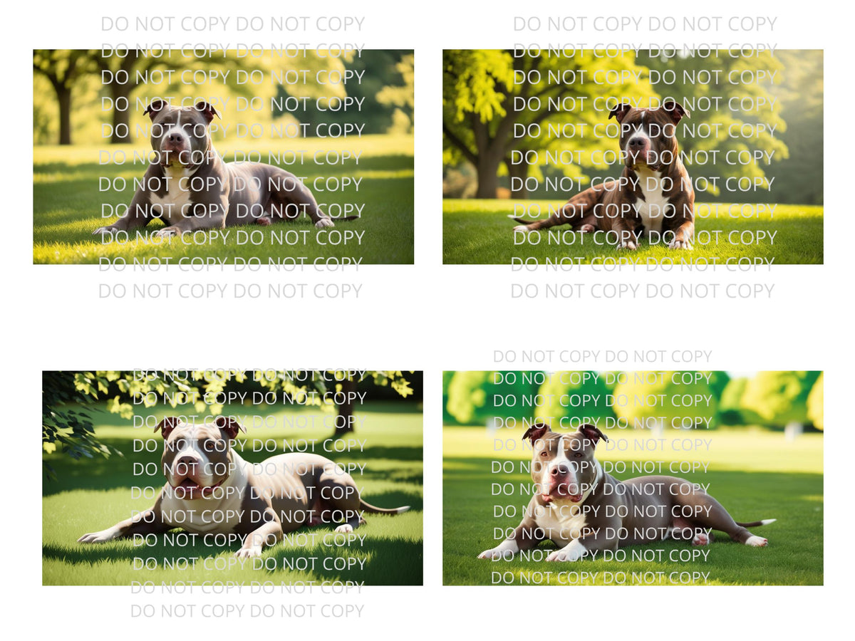 Pitbull Digital Art in PDF SVG PNG File Formats