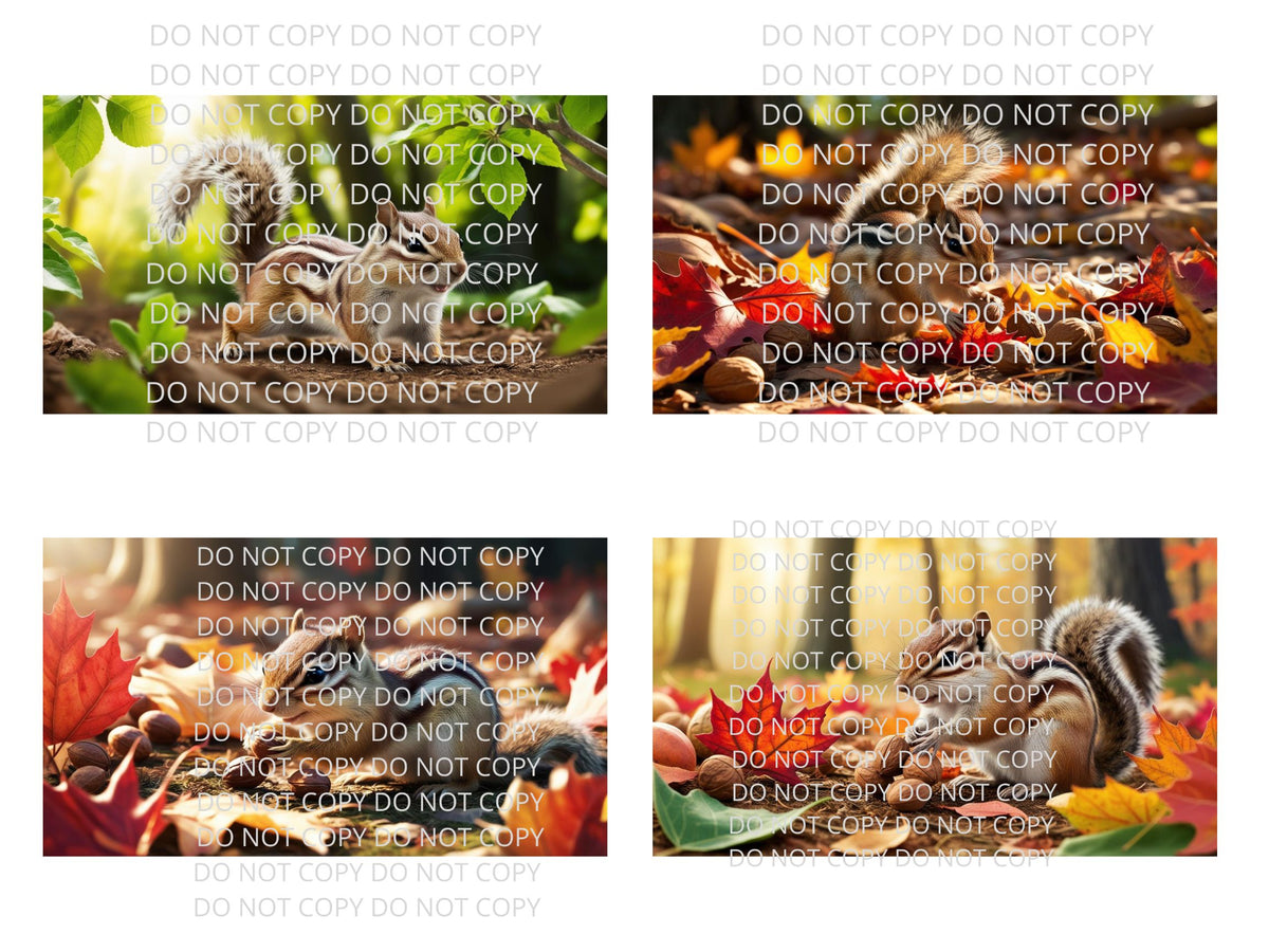 Chipmunk Digital Art in PDF SVG PNG File Formats