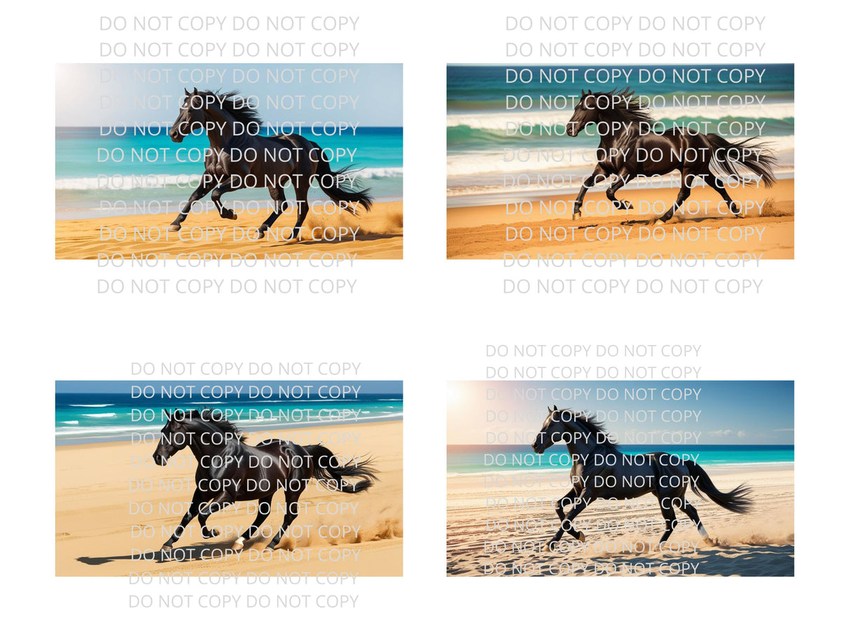 Black Horse on Beach Digital Art in PDF SVG PNG File Formats