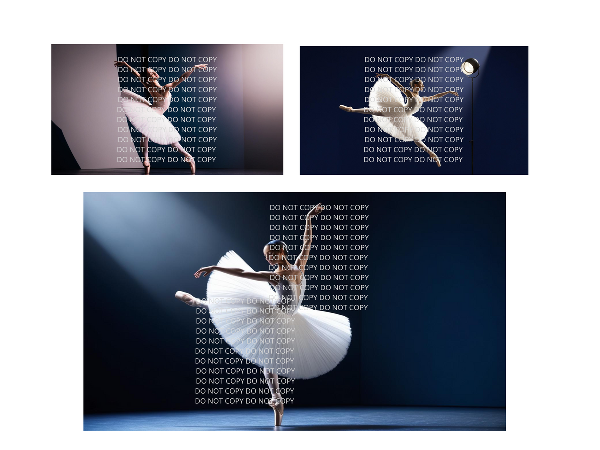 Ballerina Digital Art in PDF SVG PNG File Formats