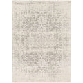 Distressed Oriental Area Rug in Light Grey / Beige